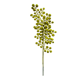 Rama Oro 75cm