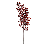 Rama Roja 75cm