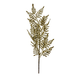 Ramas