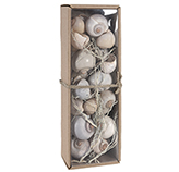 Caracoles Decorativos Blancos