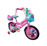 Bicicleta 16