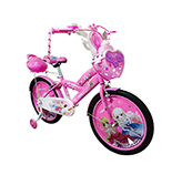 Bicicleta 20