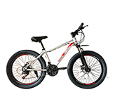 Bicicleta 20