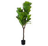 Planta Artificial Higuera 150cm