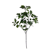 Rama Artificial Ficus 90cm