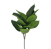 Rama Artificial Ficus 57cm