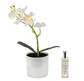 Planta Artificial con Difusor y Led 30ml