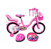 Bicicleta 16
