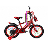 Bicicleta 16