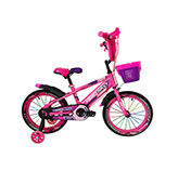 Bicicleta 16