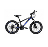 Bicicleta 20
