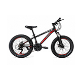 Bicicleta 24
