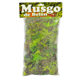 Musgo Pequeño Ecológico