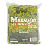 Musgo Grande Ecológico
