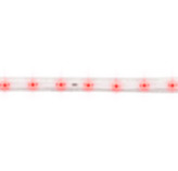 Manguera Led 1x60-110v 4.4w Roja