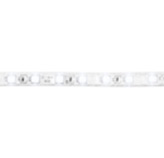 Manguera Led 1x60-110v 13.2wxmt Amarilla