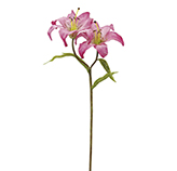 Flor Tiger Lily Vino 56cm