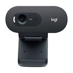 Cámara Web Logitech C505 HD 720fp Micrófono Integrado