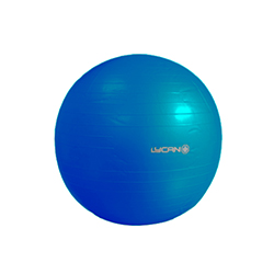 Fit Ball de PVP Azul 800mg