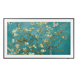Televisor  QLED  FRAME QN65LS03BAPXPA 65