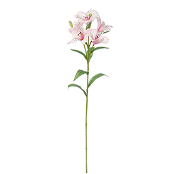 Flor Tiger Rosa 62cm