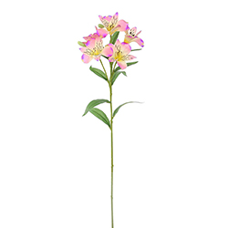Flor Tiger Violeta 62cm