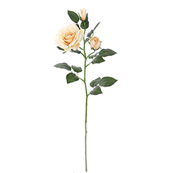 Flor rosas Melon 63cm