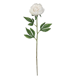 Flor Peonia Blanca 60cm