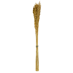 Paquete Avena Habana Belinda Flowers