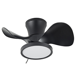 Ventilador de Techo con Lámpara Miramar Negro 22