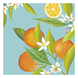 Servilletas Lemon Tree 24X24cm