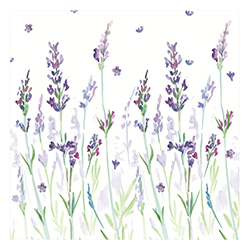 Servilletas Lavandream 33X33cm 