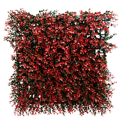 Jardín Vertical Eugenia Roja 50X50cm