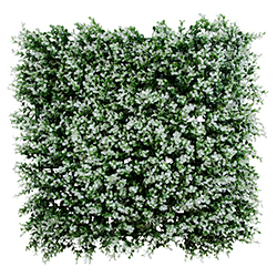 Jardín Vertical Eugenia Blanca 50X50cm
