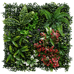 Jardín Vertical 50X50cm 