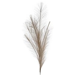Pluma Artificial Café 101cm