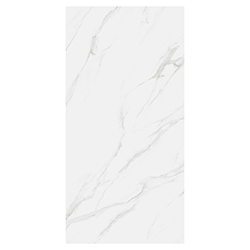 Porcelanato 60x120cm Statuario Coral Mate India