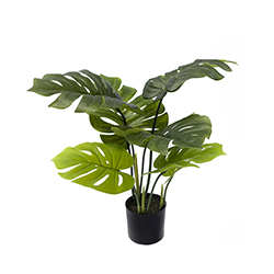 Planta Artificial Costilla de 65cm