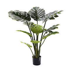 Planta Artificial Costilla 120cm