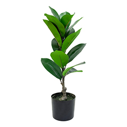 Planta Artificial Caucho 60cm