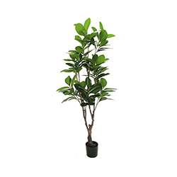 Planta Artificial Caucho 160cm