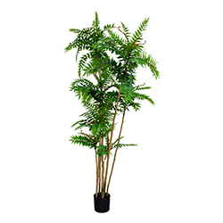 Planta Artificial Atlanthus 240cm