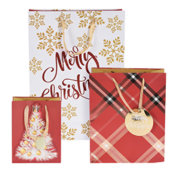 Bolsa de Regalo Mediana Set de 3 