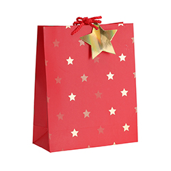 Bolsa de Regalo Mediana Navidad