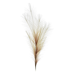 Pluma Artificial Blanco 101cm