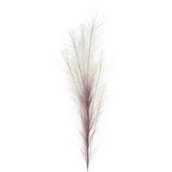 Pluma Artificial Beige 101cm