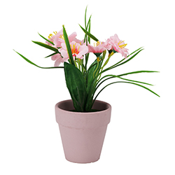 Maceta con Flor Clavelina Rosa