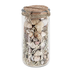 Caracoles Decorativos Blancos en Frasco