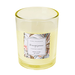 Vela Aromática Home 200GR 3 Fragancias 