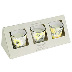 Vela Aromática Home 3X45GR 3 Fregancias 